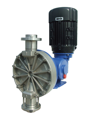 Invikta 系列-kcl635